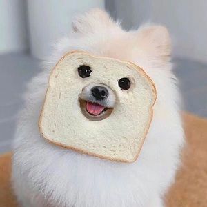 Meet your Posher, Jihui